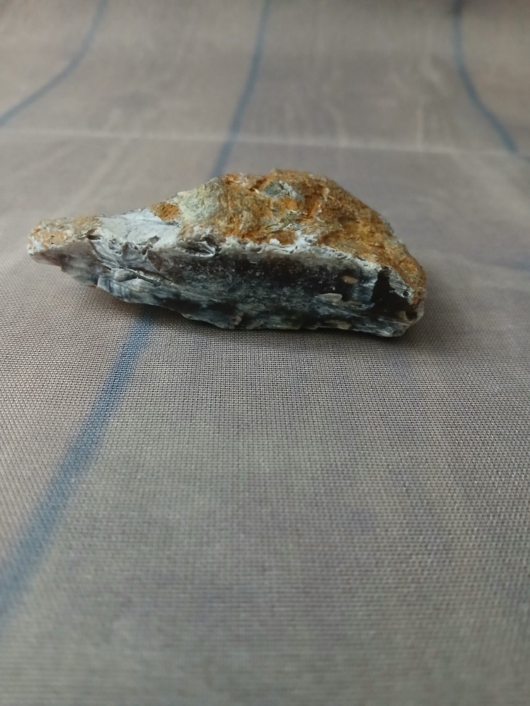 Petrified Wood Small