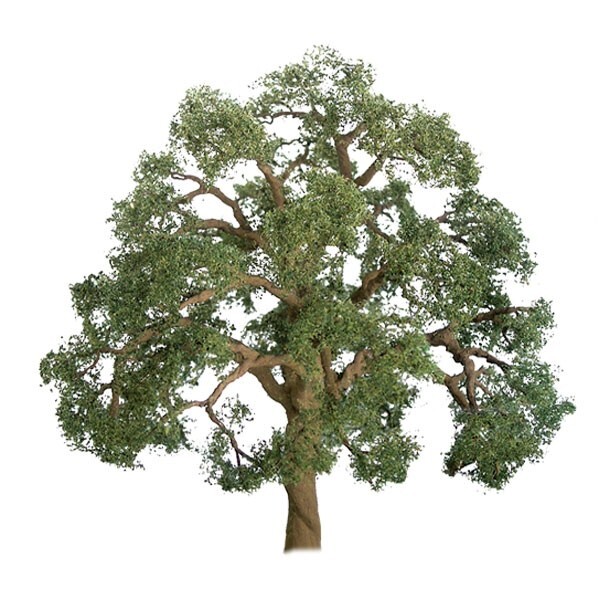JTT (HO/N-Scale) 94349 Premium Tree, Live Oak 2" (3-Pack)