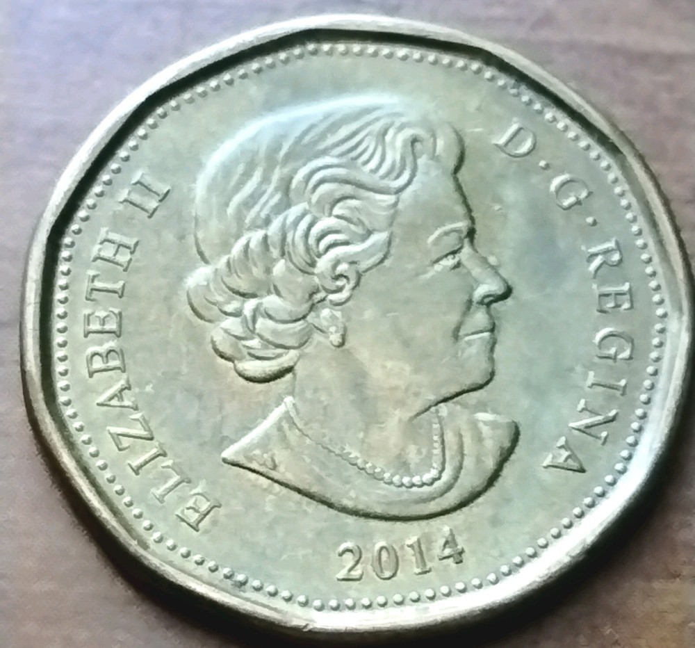 2014 Canada Loonie One Dollar Coin