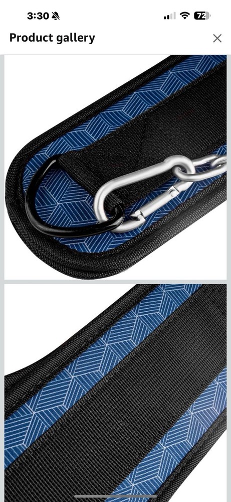 Gridlock Dip Weight Belt