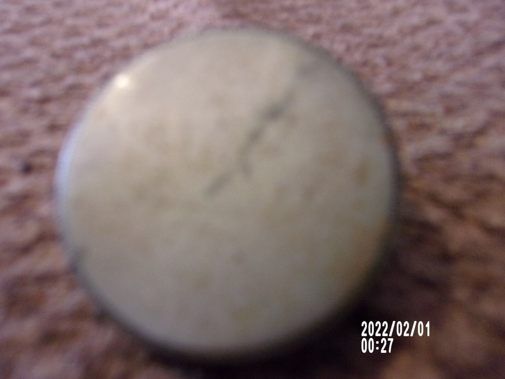 Vintage Brass Horse Bridle Rosette Button    flat front   #3