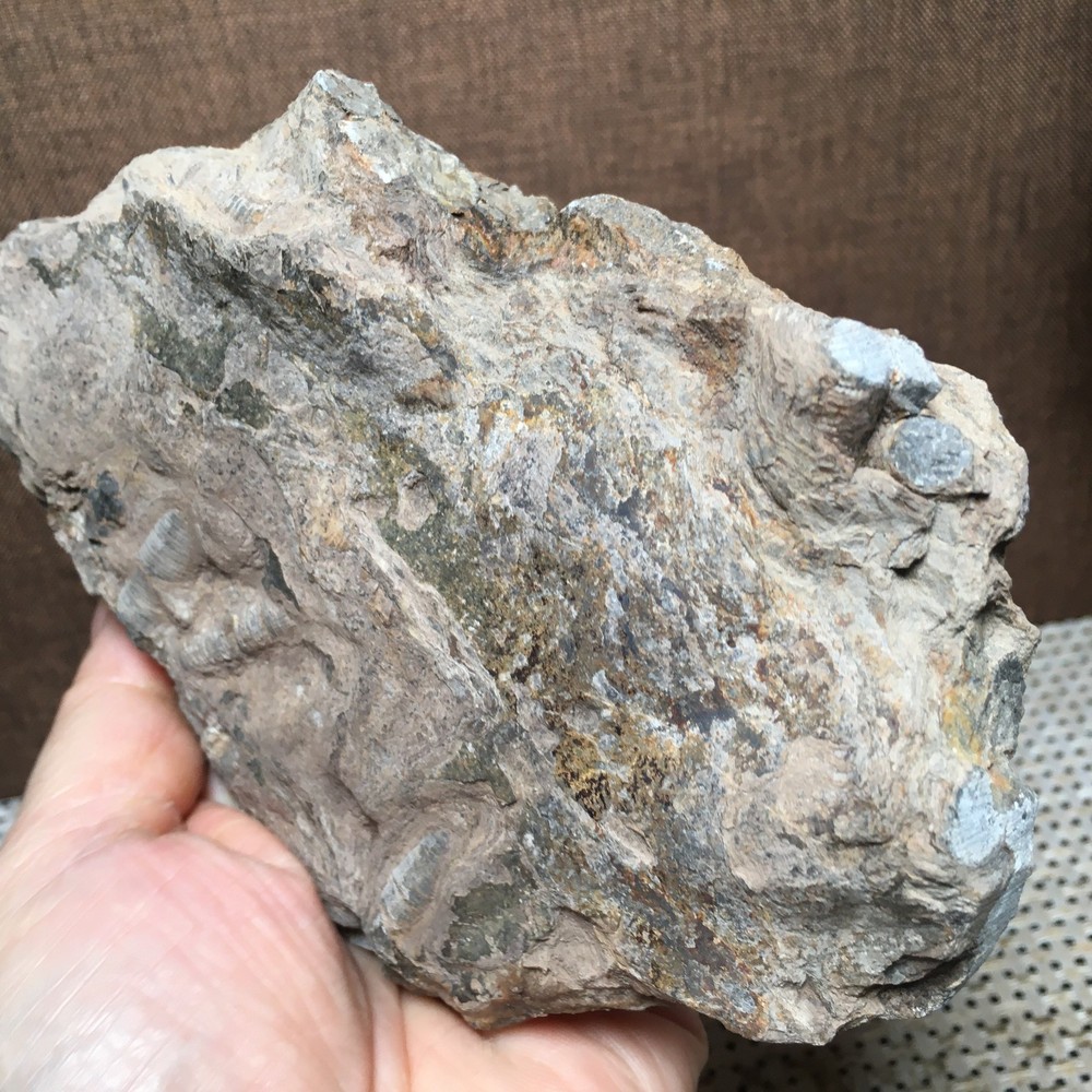 508g Natural crystal specimens md3198