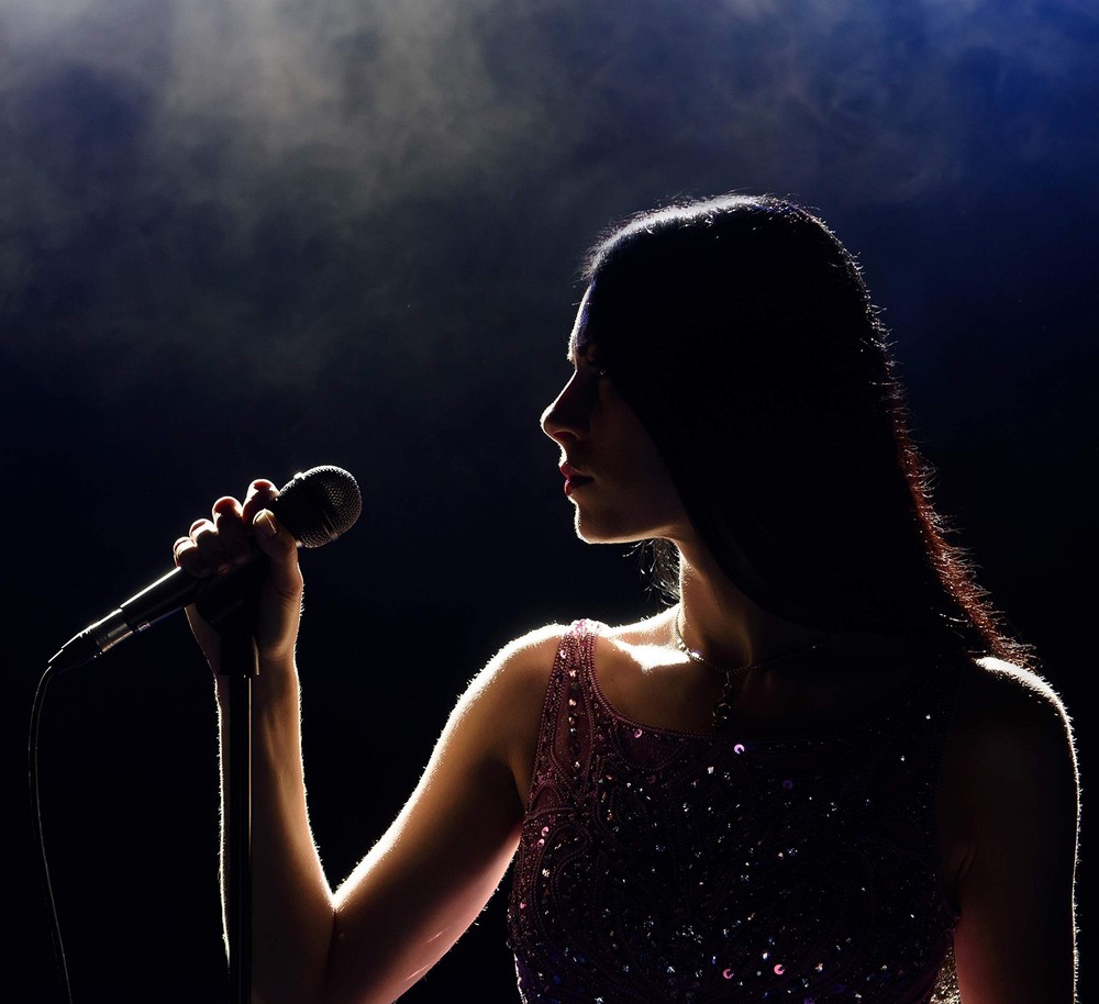 Polsen M-85 Professional Dynamic Handheld Microphone (Dark Gray)