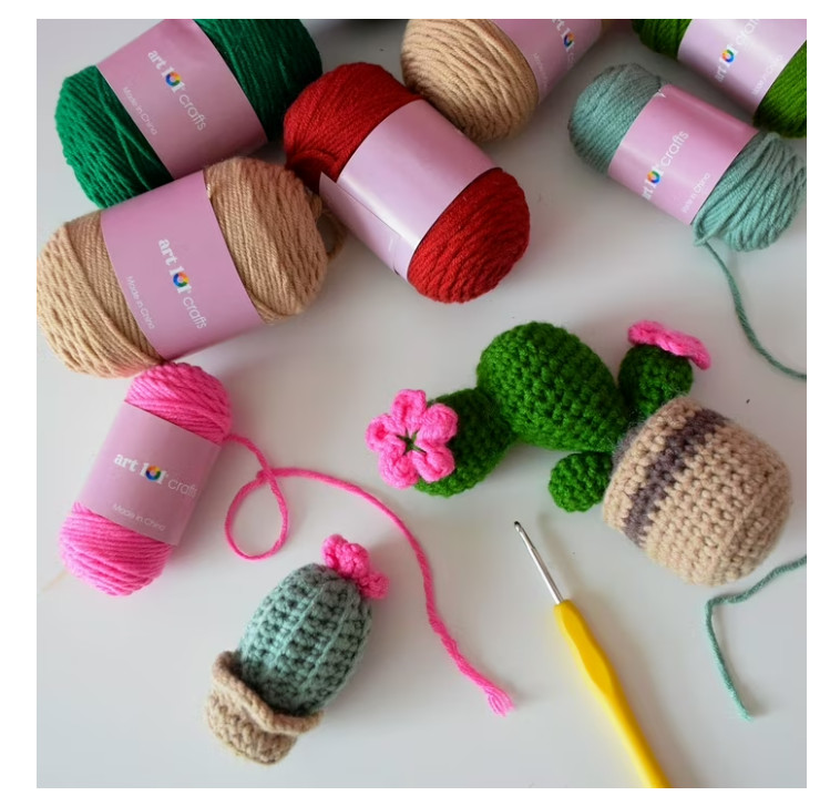 Art 101 Crafts Crochet Plants Kit