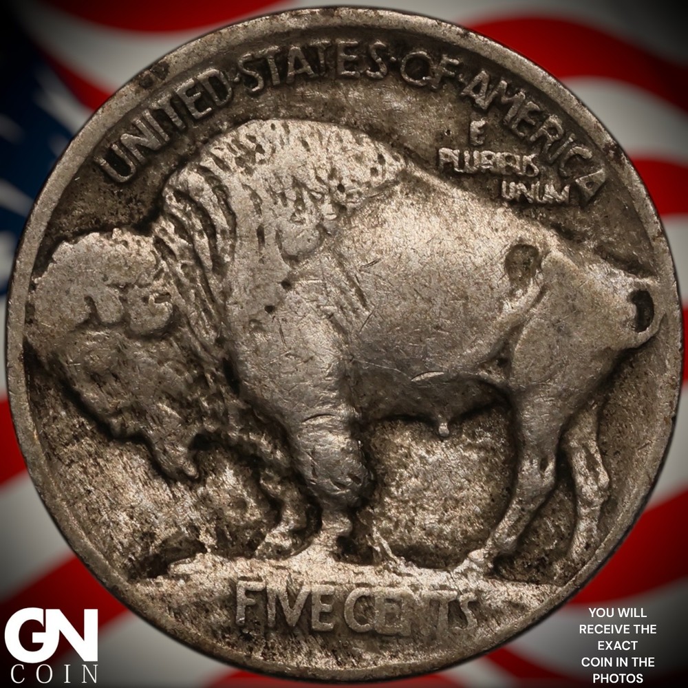 1913 P TYPE 1 Buffalo Nickel A1950