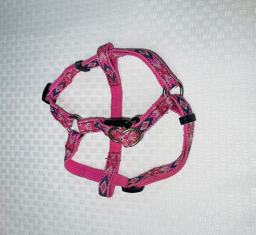 Dog Leash with Matching Harness Pink 55”