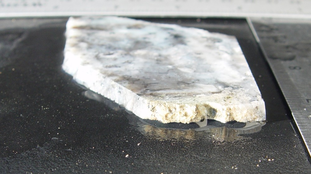 Dendritic Agate Lapidary Slab T1127