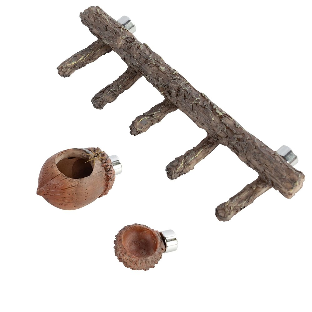 3in1 Nut Shaped Jumping Spider Hideout Cave Feeding Climbing Decor