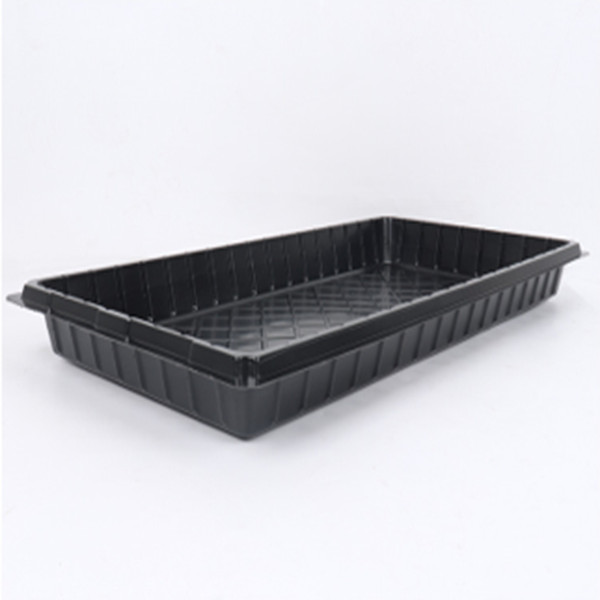 Seedling Starter & Microgreen Watering Tray – Heavy-Duty, Reusable Plastic