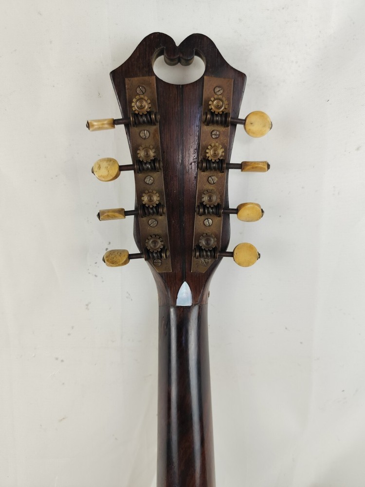 Mandolin 4/4 Achille Lanfranco 1891 Naples 曼陀林 만돌린マンドリン