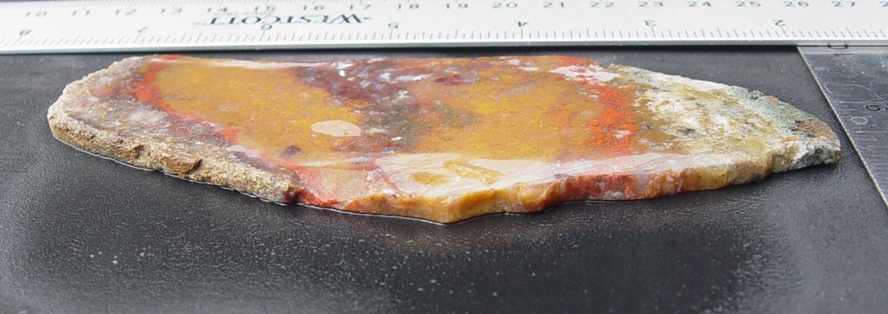 Macaw Agate from Mexico Lapidary Slab T721