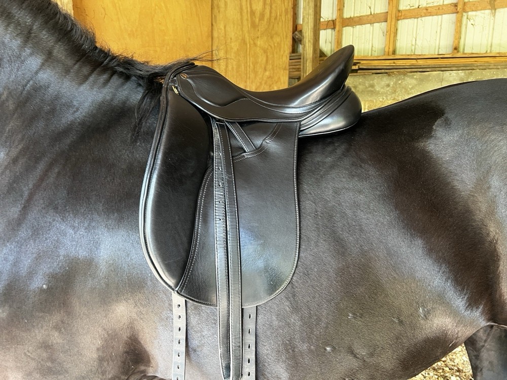 Peter Horobin Amazone Dressage Saddle 17” XW