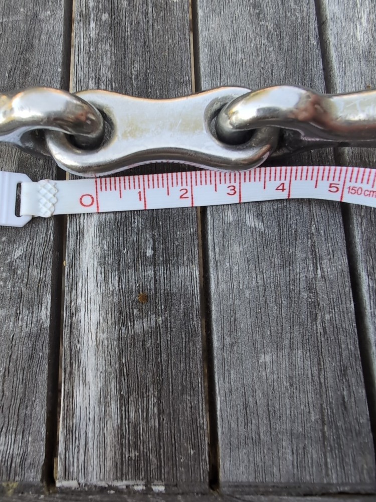5.25" Loose Ring Snaffle with Lozenge
