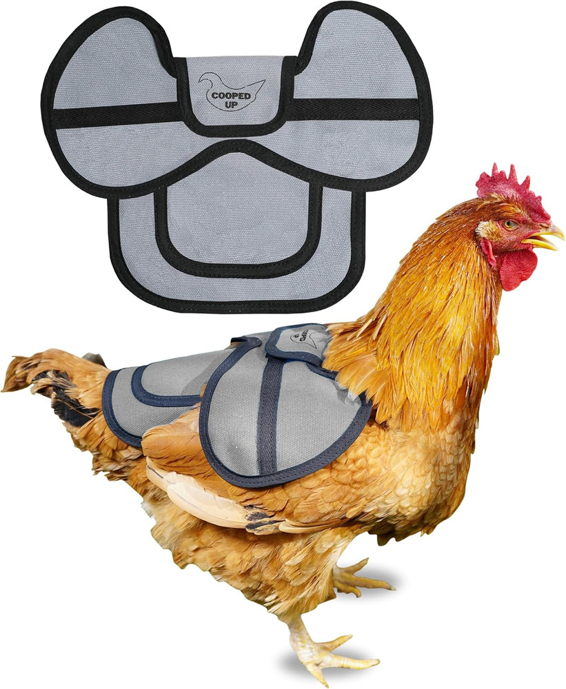 Canvas Chicken Saddle for Medium-Large Hens with Larger Wing Cover and Adjustabl