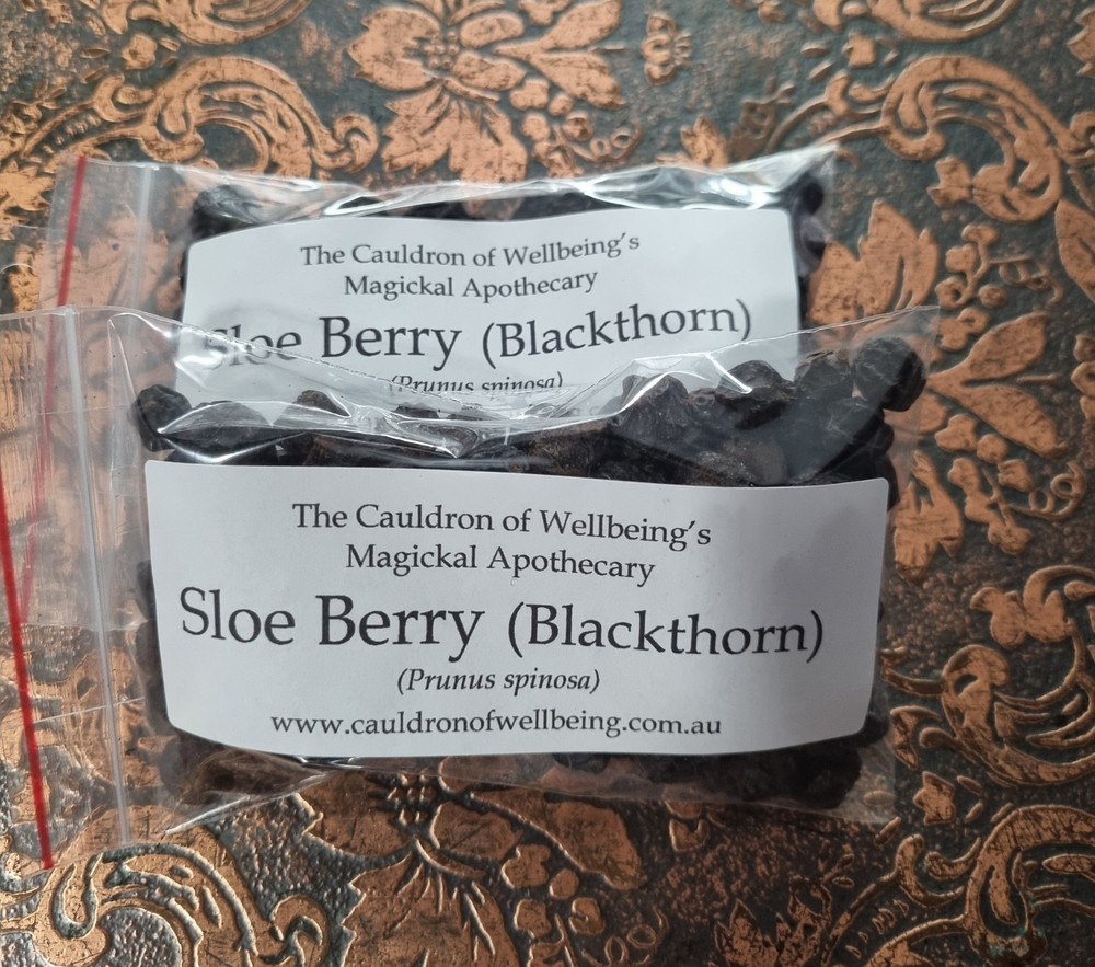 Sloe Berry / Blackthorn