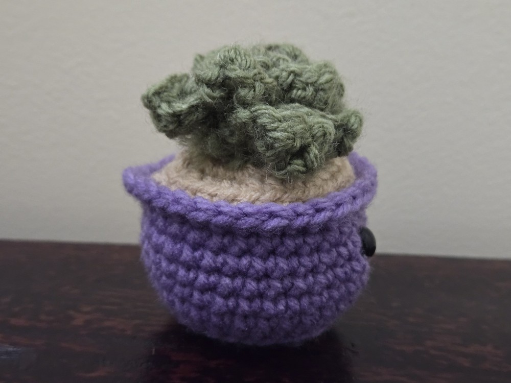 Hand-Crafted Crochet Succulent Plant