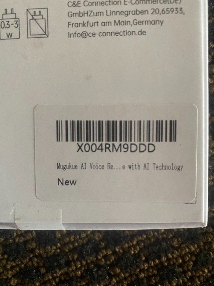 ChatGPT Empowered Ai Voice Recorder