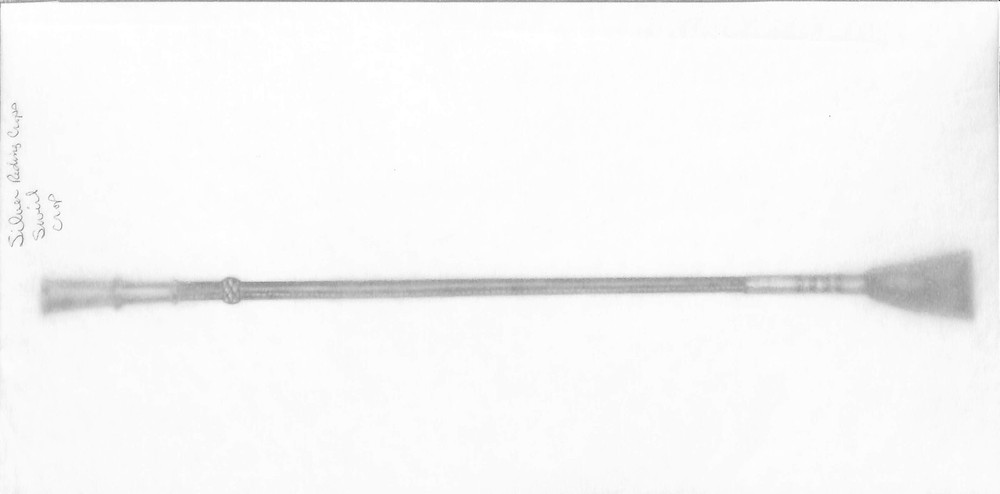 Silver Swirl Riding Crop Graphite Drawing