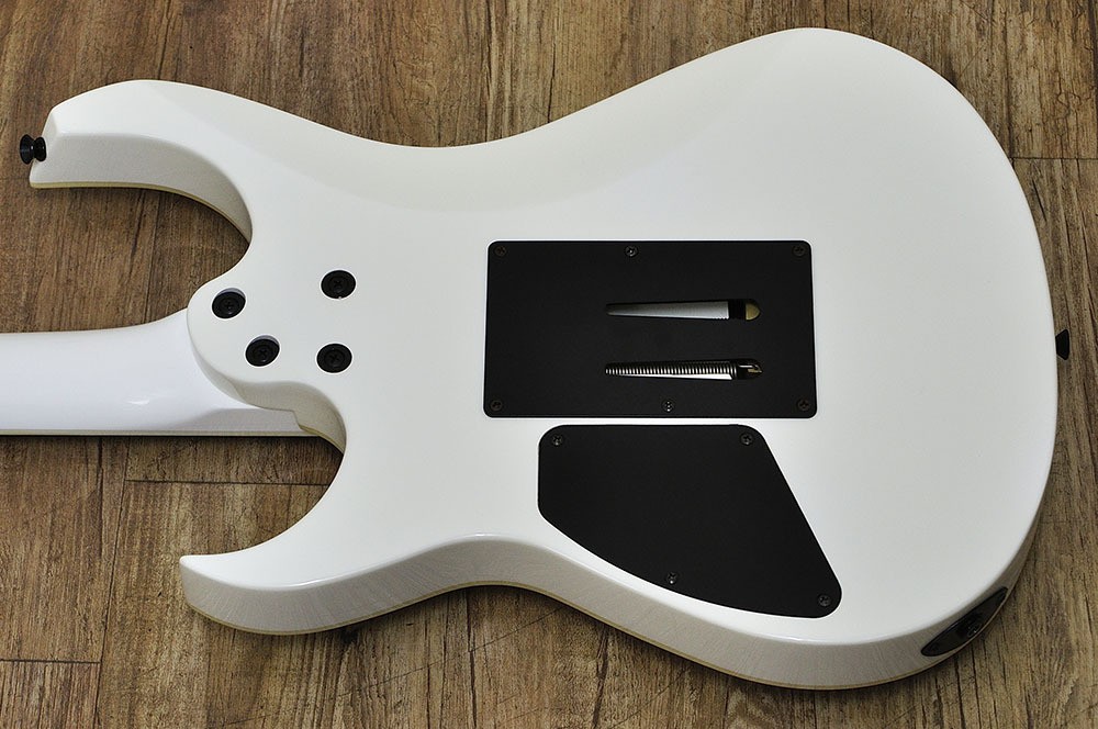 FERNANDES FGZ-STANDARD