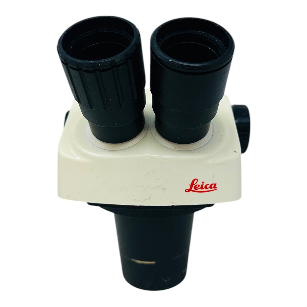LEICA STEREOZOOM 6 PLUS MICROSCOPE HEAD