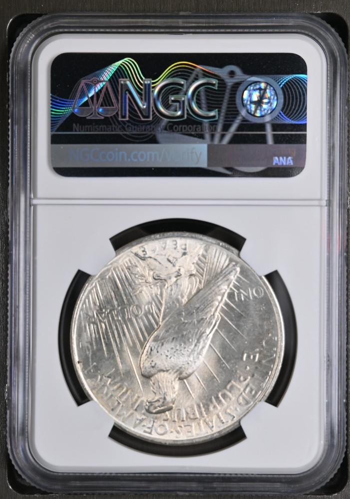 1924 Peace Dollar MS-66 NGC VIDEO