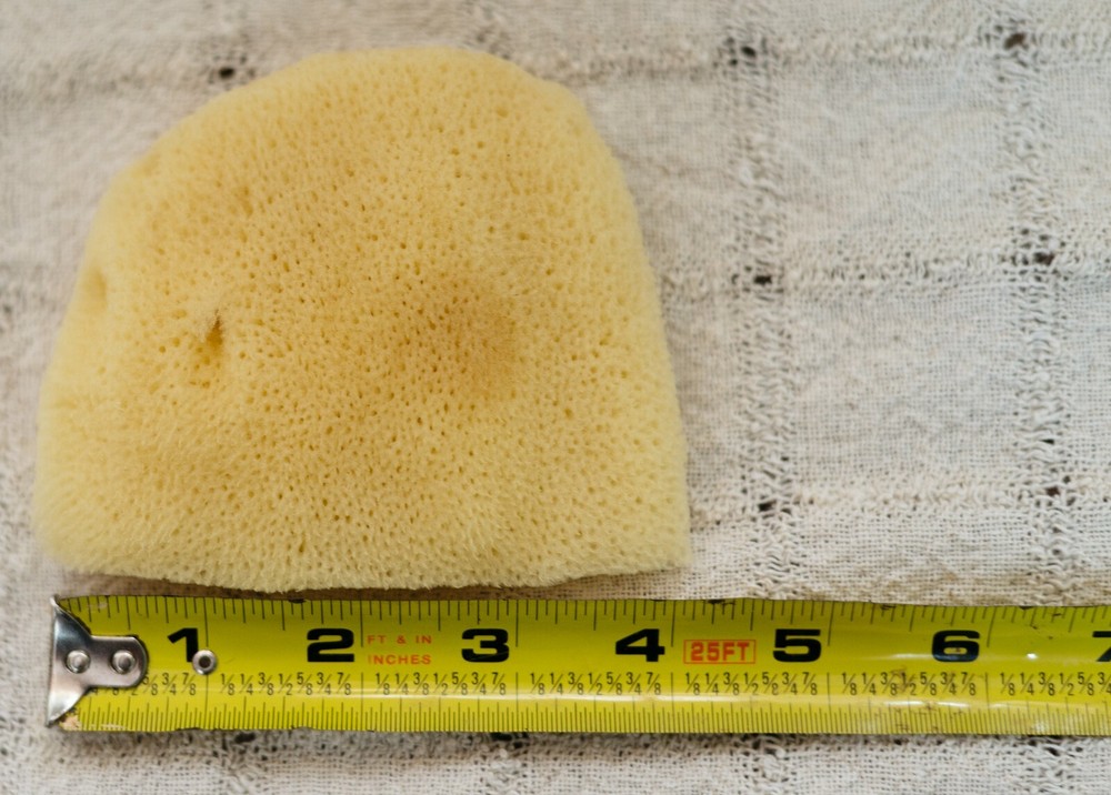 Bleached Elephant Ear Sponges 4"-4 1/2"