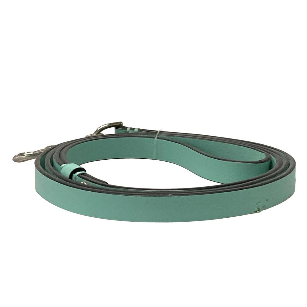 TIFFANY&Co. Tiffany Blue Leather Accessory