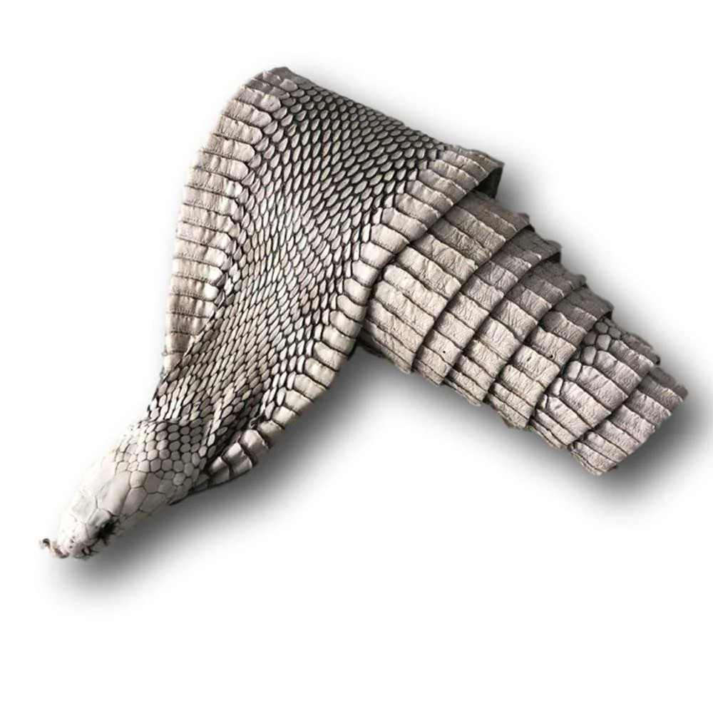 Exotic Full Cobra Snake Skin With Head