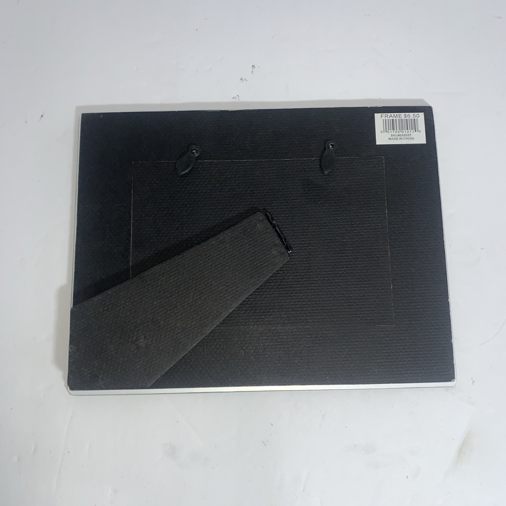 Lioncoln Park Zoo Photo Frame