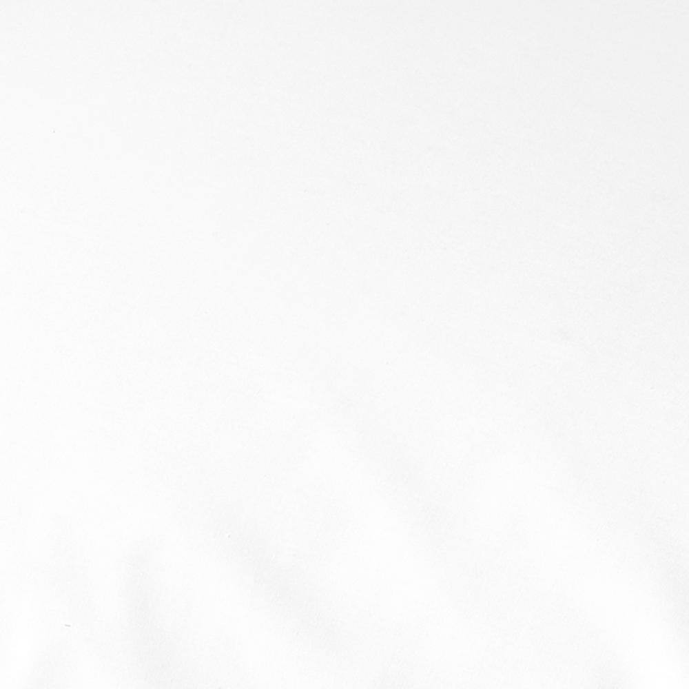 Company Cotton Standard Pillow Protector