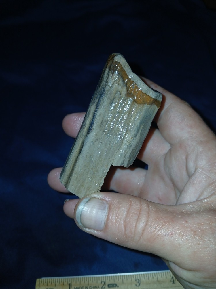 4 oz Texas Petrified Wood