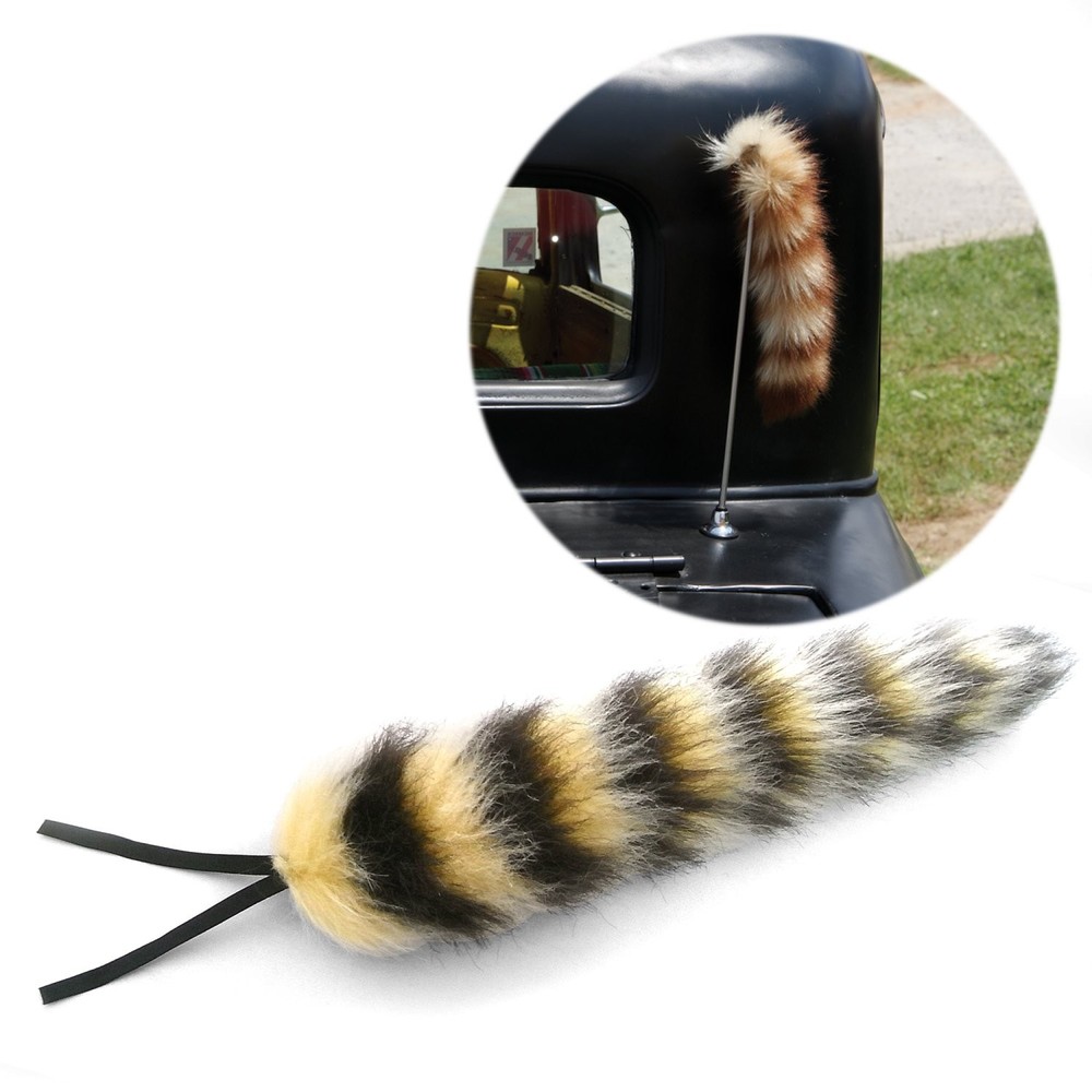 Raccoon Tail