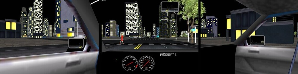 Pro Driving Simulator Software for Training and Testing - 3 Monitor