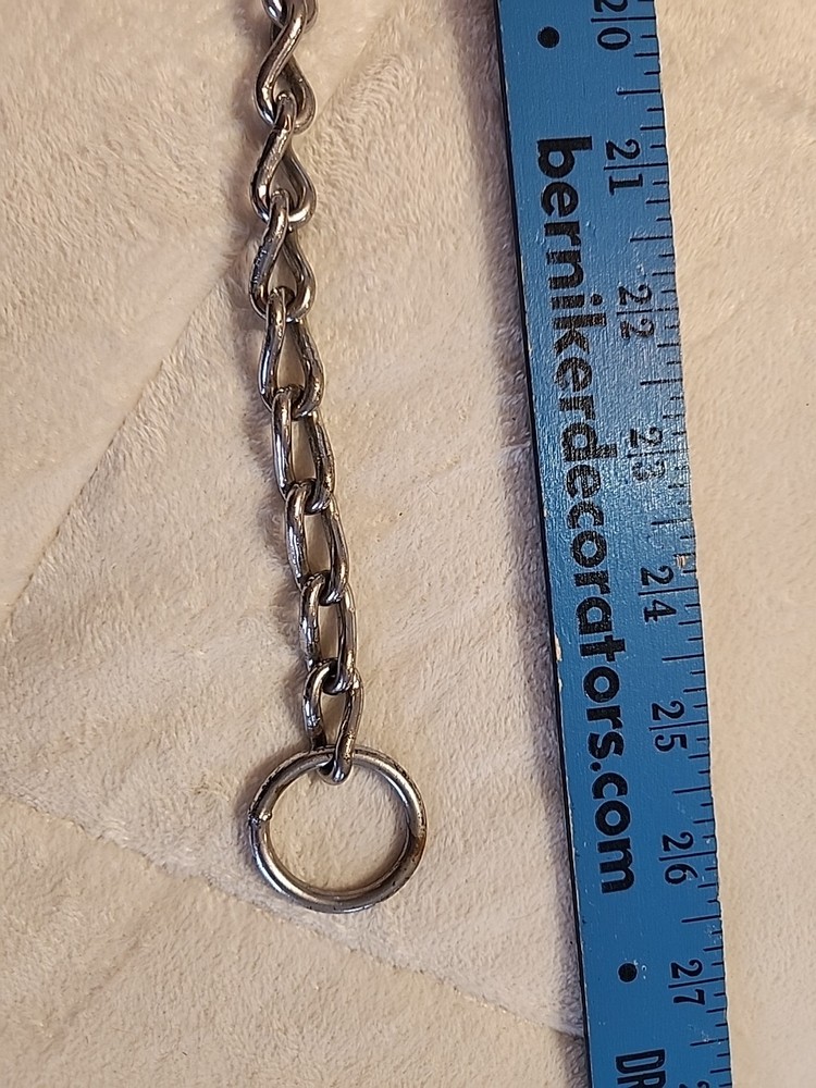 Dog Training Choke Collar 25”