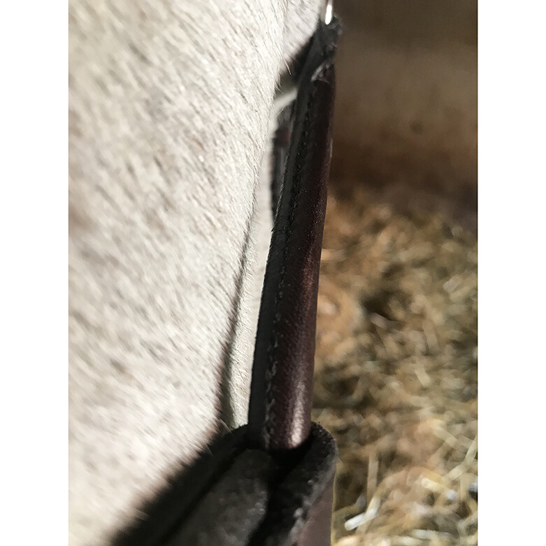 In Horse We Trust Infinity Noseband