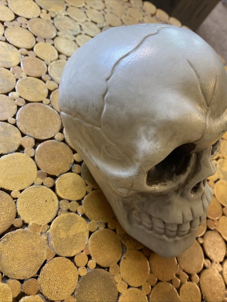 Halloween Skeleton Skull - Prop - Decor