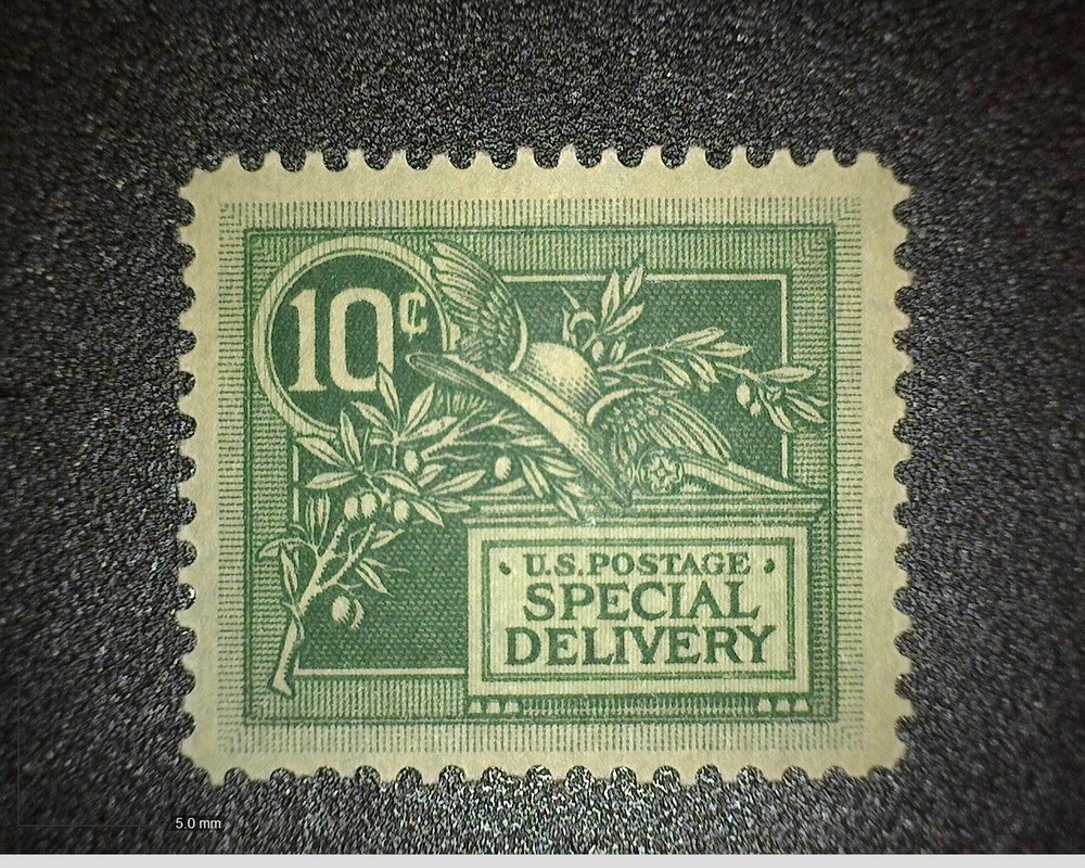 US Scott# E7 Special Delivery Stamp - MH (#1)