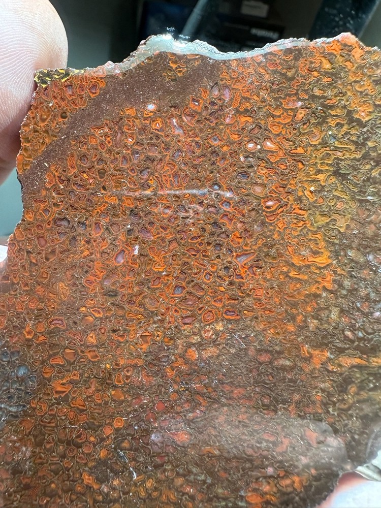 Dinosaur bone rough **hxtled slab.