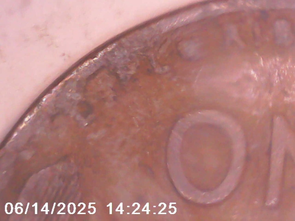 1917-P Lincoln Wheat Cent with Error on Reverse