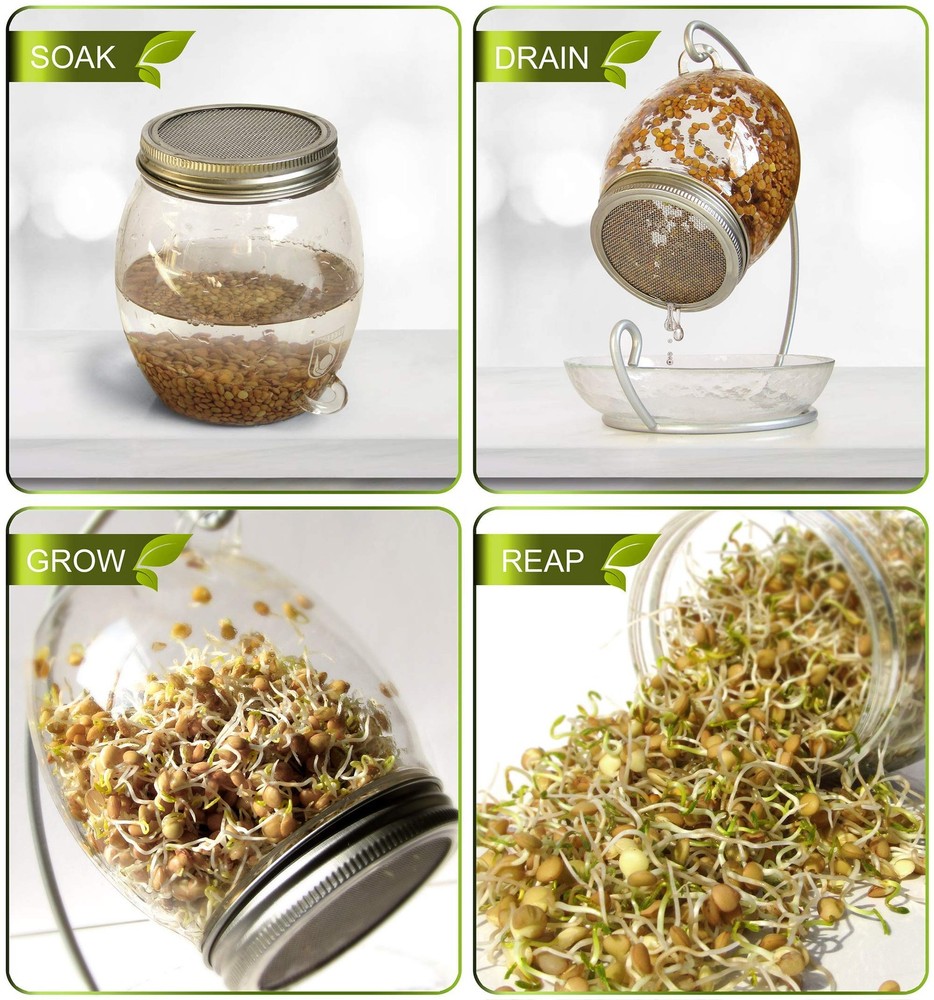 Premium Sprouting Jar Kit - Unique 30 oz Wide Mouth Sprouting Jar, Stand, Tra...