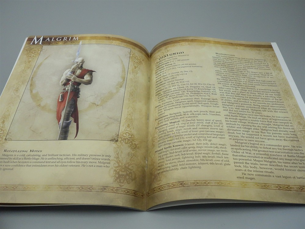 Legends Collection: Allies and Adversaries (d20 System)