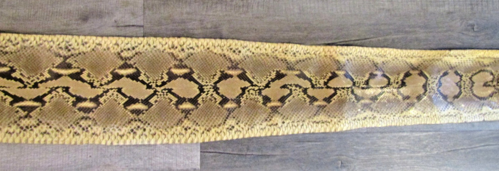 Taxidermy Genuine 15' 4" Long Reticulated Python Hide