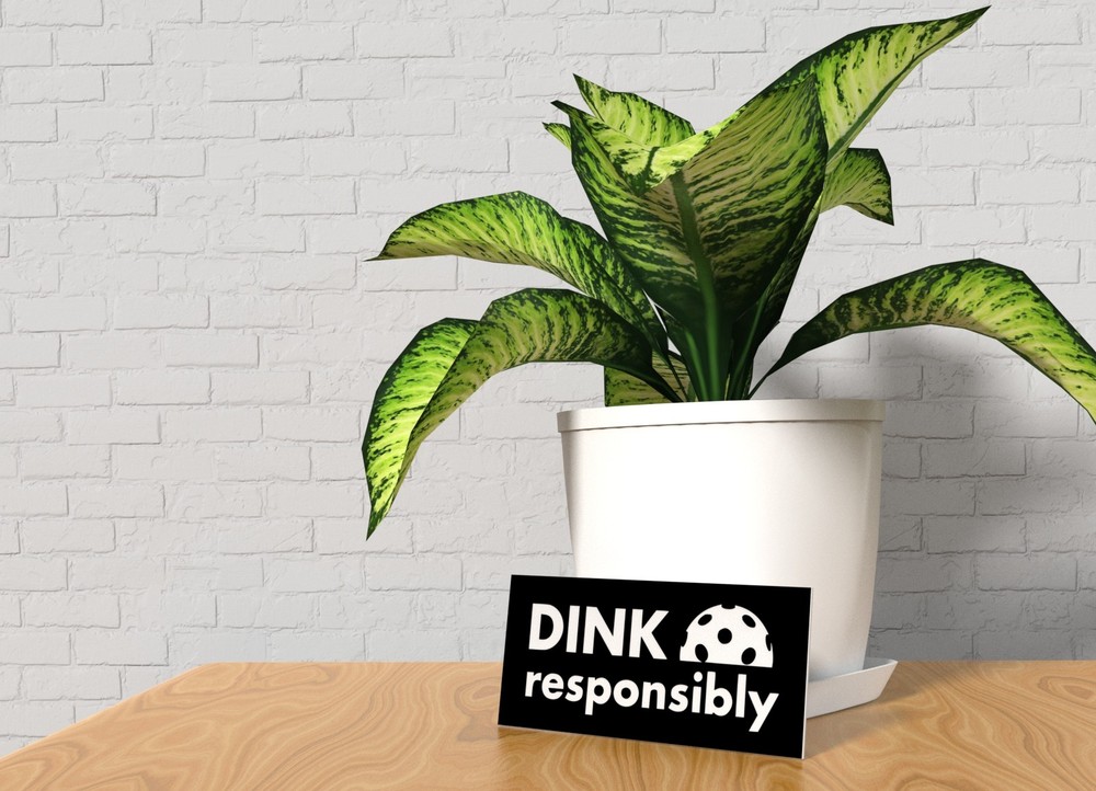 Dink Responsibly | Funny sign For Home or Office