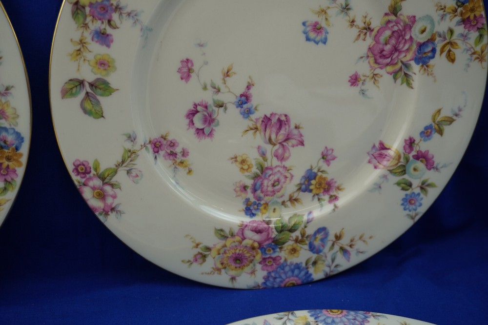 Castleton Sunnybrooke (4) Dinner Plates, 10 3/4" (B54)