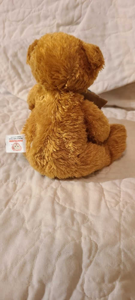 Plushland 2006 Smile Bear 6in