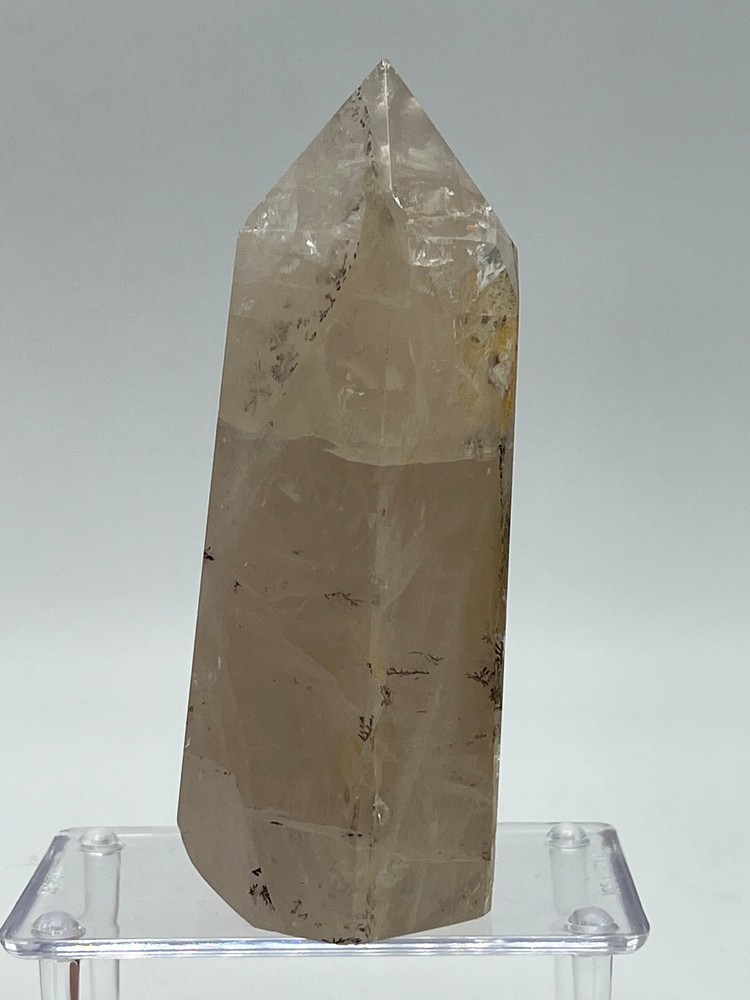 Dendritic Quartz I