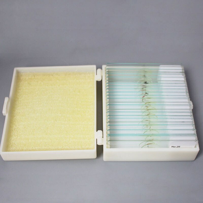 Glass Microscope Prepared Slides Set for Lab Biology Study 25PCS