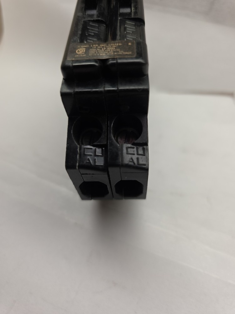 Challenger 2 Pole 30 Amp Breaker
