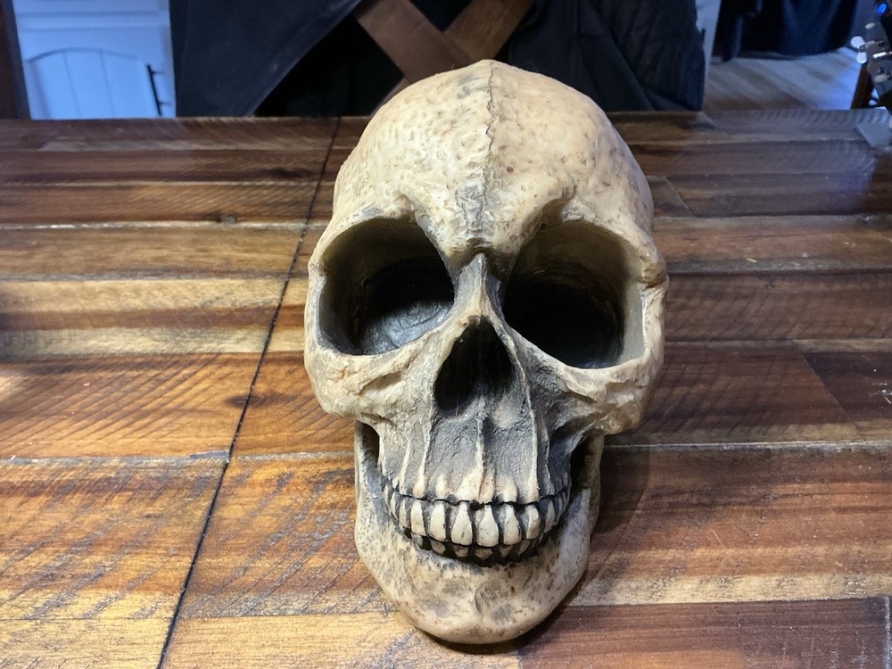 Vintage Gothic Large Resin Skull Head  Excellent!