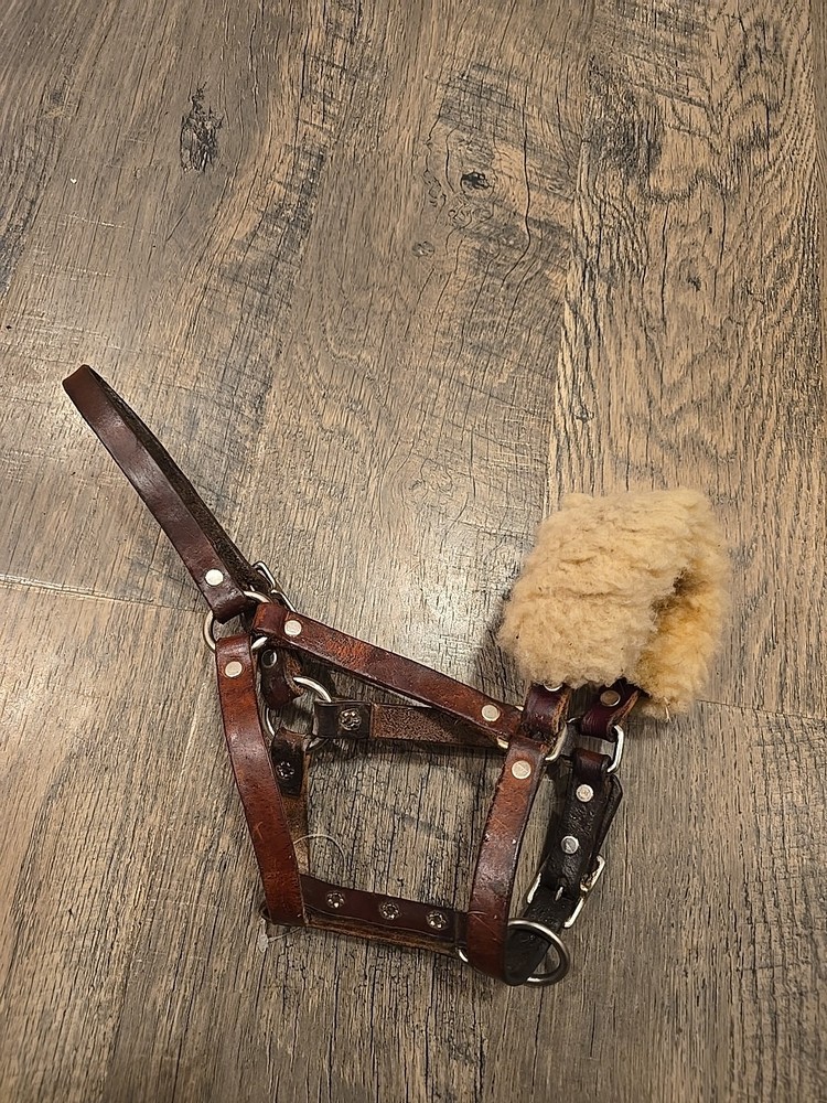 Horse Halter Weanling Size
